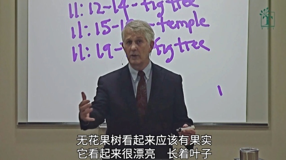 释经学：观察马可福音11章